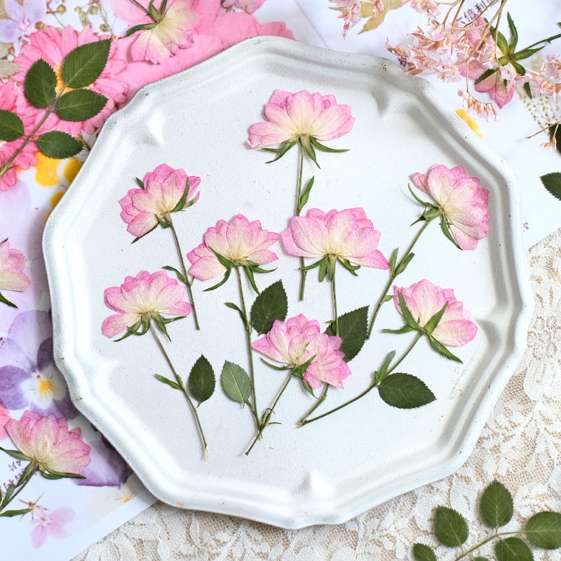 12pcs,Real Dried Pressed Flowe - Resin Art Baby recension och pris