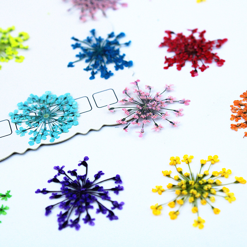 500pcs Lace Flowers Dried Flow - Resin Art Baby recension och pris