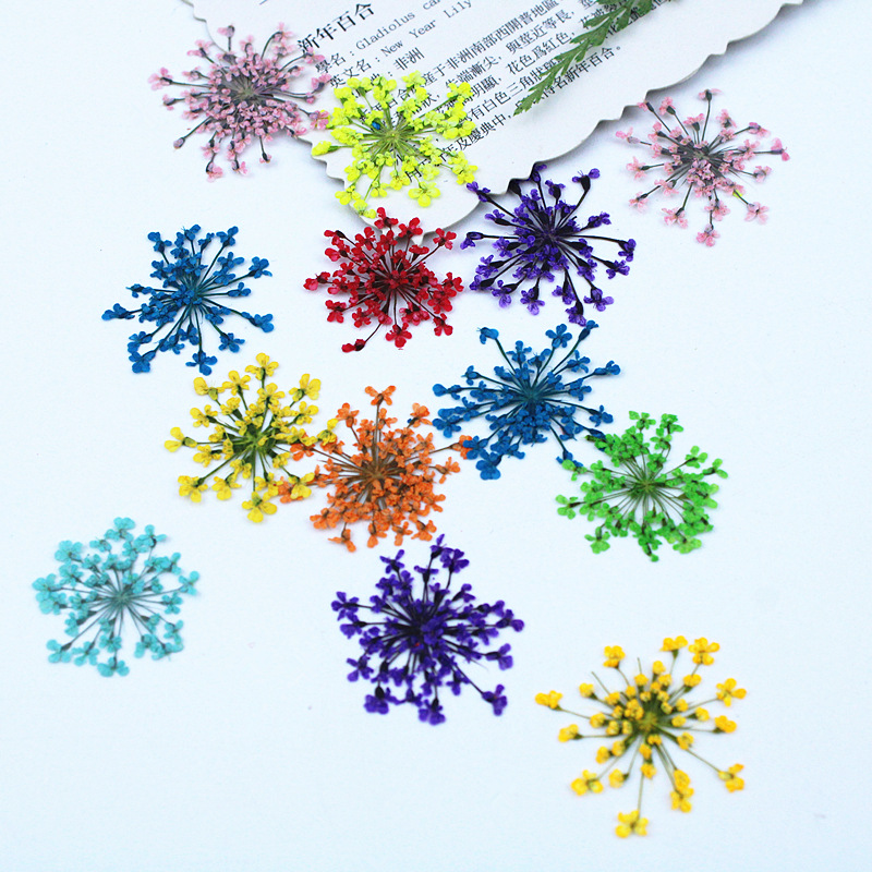 500pcs Lace Flowers Dried Flow - Resin Art Baby recension och pris